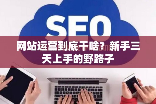 网站运营到底干啥？新手三天上手的野路子